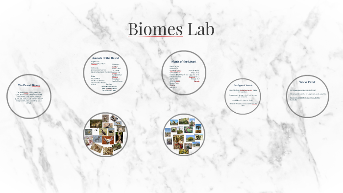 Biomes Lab by elizabeth danford on Prezi
