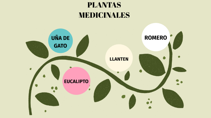 Plantas Medicinales By Yessy Anais Ev On Prezi Next