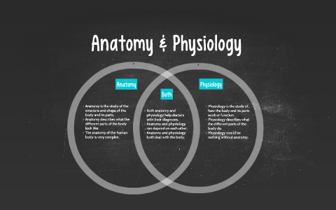 Anatomy vs. Physiology by Liliana Martinez on Prezi
