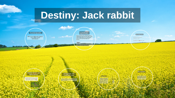 destiny/jack rabbit by Christina Kendall