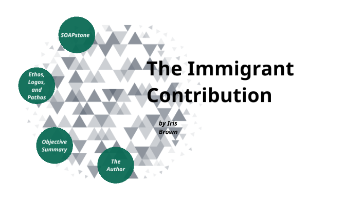 essay about the immigrant contribution