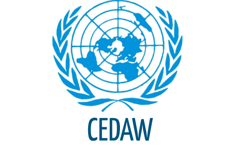 CEDAW by Neil Cassar on Prezi