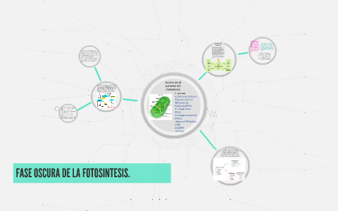 Fase Oscura De La Fotosintesis By Ana Vargas On Prezi Fase Oscura De La Fotosintesis By Ana Vargas On Prezi