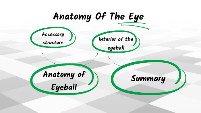 Anatomy Of The Eye by khaled qasem on Prezi