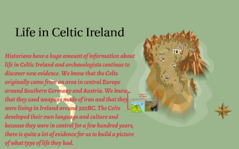 Life In Celtic Ireland By Shane Kenny