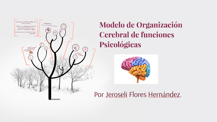 Modelo de Organización cerebral de funciones Psicológicas by Jeroseli FH