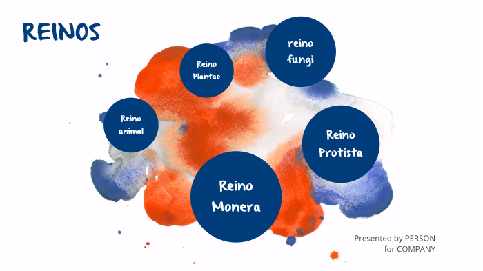 reinos by Angel Zavala on Prezi