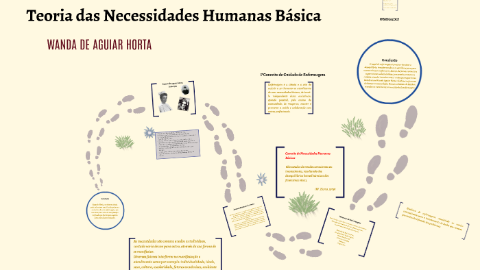 Teoria das Necessidades Humanas Básicas(Wanda de Aguiar Horta) by ...