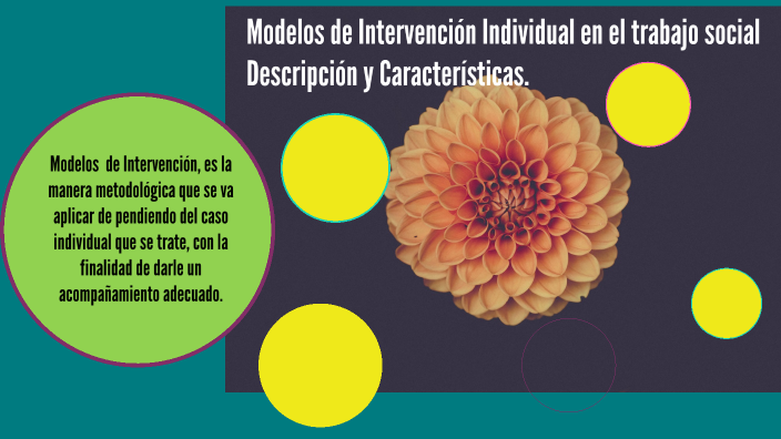 Total 54 Imagen Modelo De Intervencion Individualizada Abzlocalmx 9354