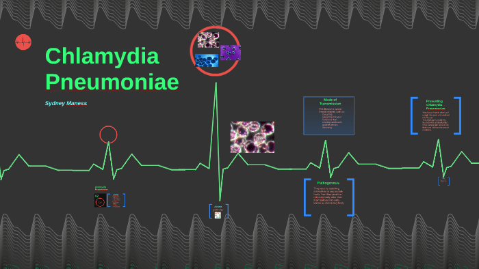 Chlamydia Pneumonia By Sydney Maness On Prezi 3108