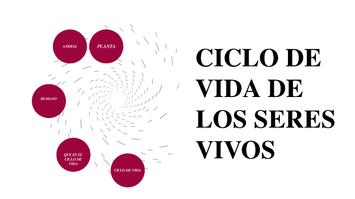 CICLO DE VIDA DE LOS SERES VIVOS by fanny rivera on Prezi