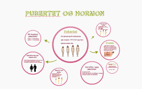 PUBERTET OG HORMON by Kine Nygård on Prezi