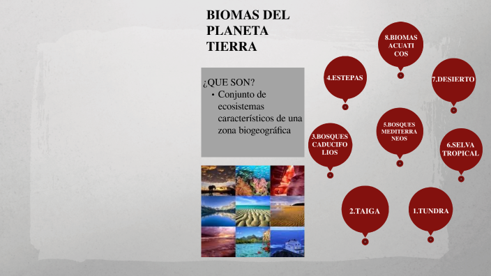 BIOMAS 2 by veronica yumbla on Prezi