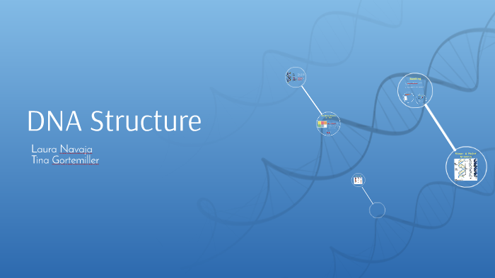 DNA Structure by Tina Gortemiller on Prezi