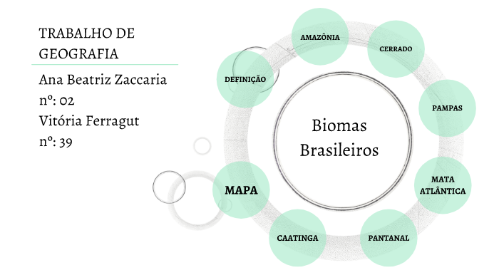 biomas brasileiros by Ana Beatriz Zaccara on Prezi