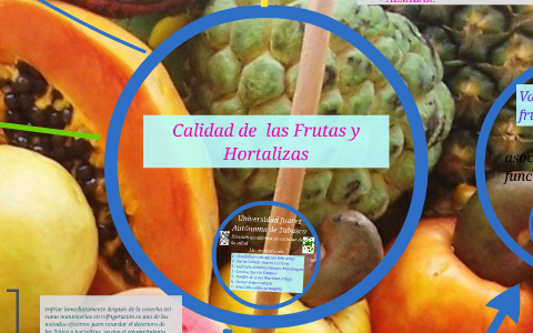 Calidad de las Frutas y Hortalizas by yenni priego