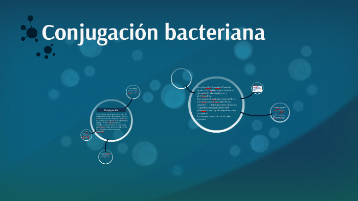 proceso de conjugación bacteriana