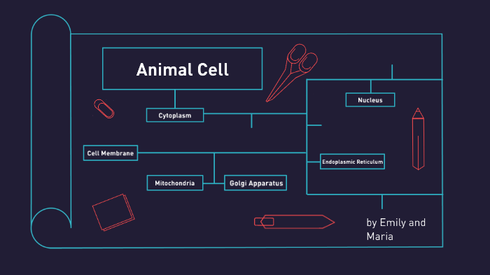Animal Cells by Maria Hernandez on Prezi