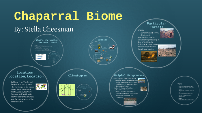 Chaparral Biomes by Stella Grace on Prezi