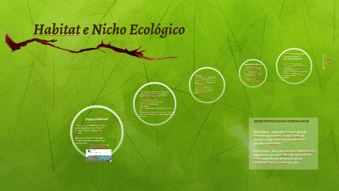 Habitat e Nicho Ecológico by Igor França on Prezi