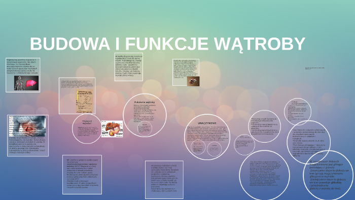 BUDOWA I FUNKCJE WĄTROBY by on Prezi