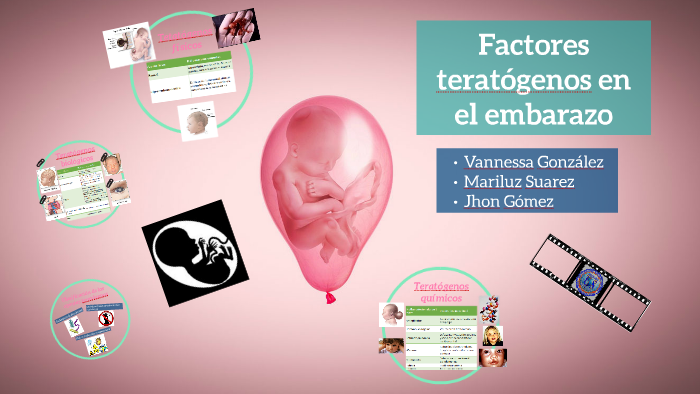 Factores Teratogenos Que Afectan El Desarrollo Prenatal