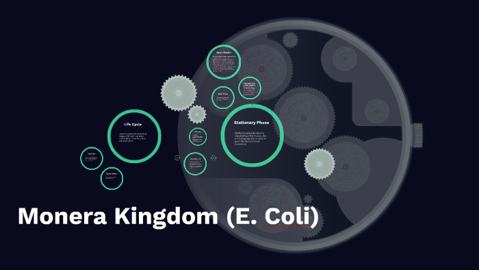 e coli kingdom