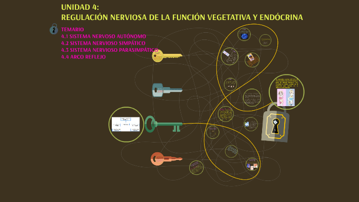 UNIDAD 4 REGULACIÓN NERVIOSA DE LA FUNCIÓN VEGETATIVA Y END by Adriana