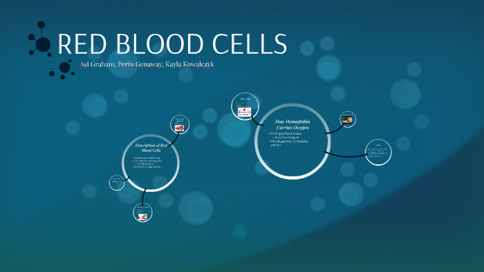 RED BLOOD CELLS by Kayla Kowalczyk