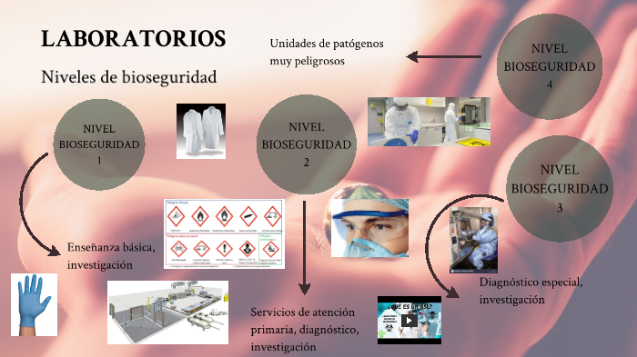 Tipos de laboratorio by Maria santos fioris on Prezi