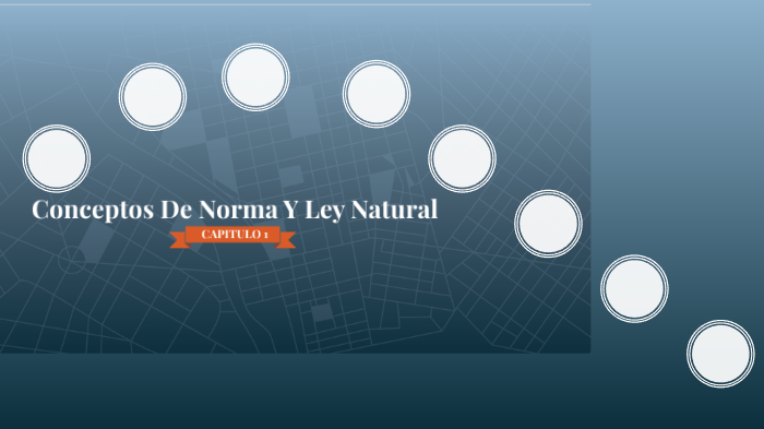 Capitulo I Conceptos De Norma Y Ley Natural by Denisse Tamez