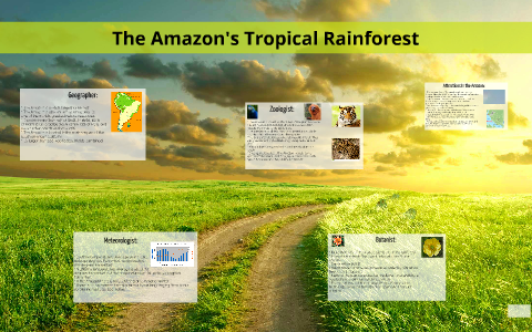 The Amazon's Tropical Rainforest by Liliana G on Prezi