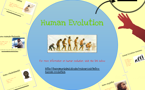 Jennifer Palazola Human Evolution by jennifer palazola on Prezi
