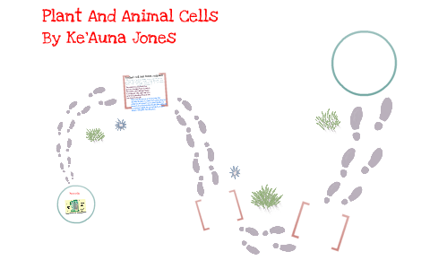 plant and animal cell by keauna jones on Prezi