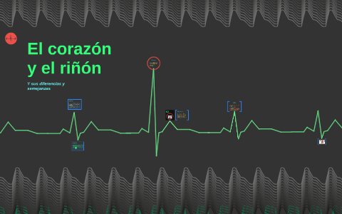 El corazón y el riñón by Diego López on Prezi