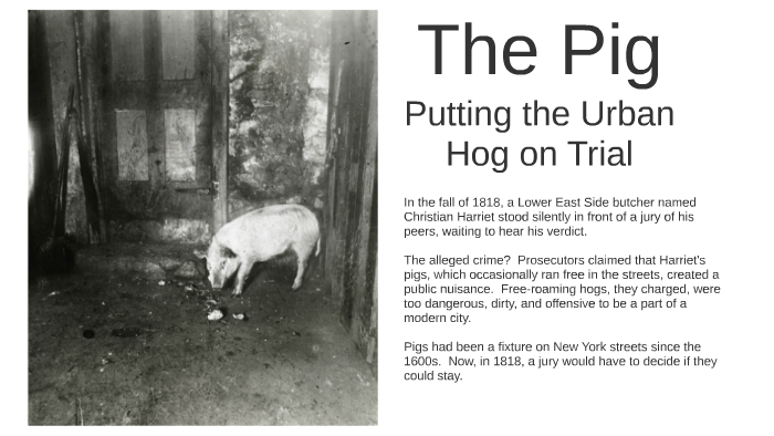 The roaming hog