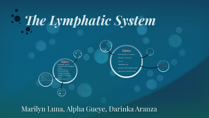 The Lymphatic System by Marilyn Luna