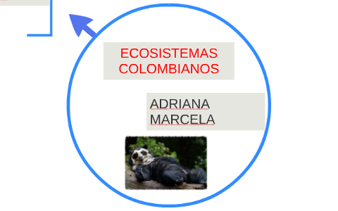 ECOSISTEMAS COLOMBIANOS by Adriana Gonzalez on Prezi