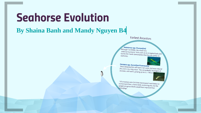 Seahorse Evolution by SHAINA BANH on Prezi