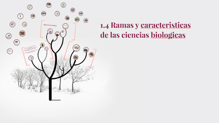 1.4 ramas y caracteristicas de las ciencias biologicas by vic ius
