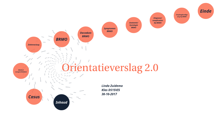 Presentatie Orientatieverslag 2.0 by Linda Zuidema on Prezi