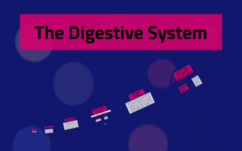 The Digestive System by Cristina GArcia on Prezi