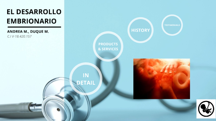 DESARROLLO EMBRIONARIO by Andrea Duque on Prezi