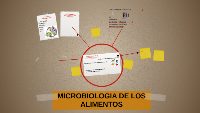 MICROBIOLOGIA DE LOS ALIMENTOS by Caroliina Ruiz