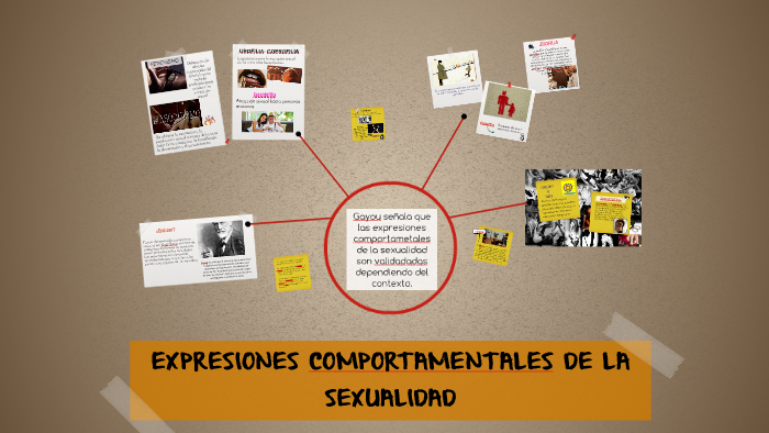 Expresiones Comportamentales De La Sexualidad By Garidey Aguilar 2374