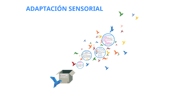 AdaptaciÓn Sensorial By On Prezi 2697