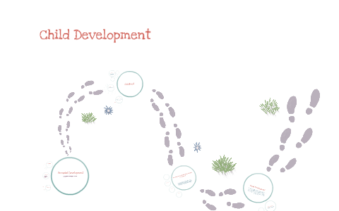 Child Development by Ashley Lutz on Prezi