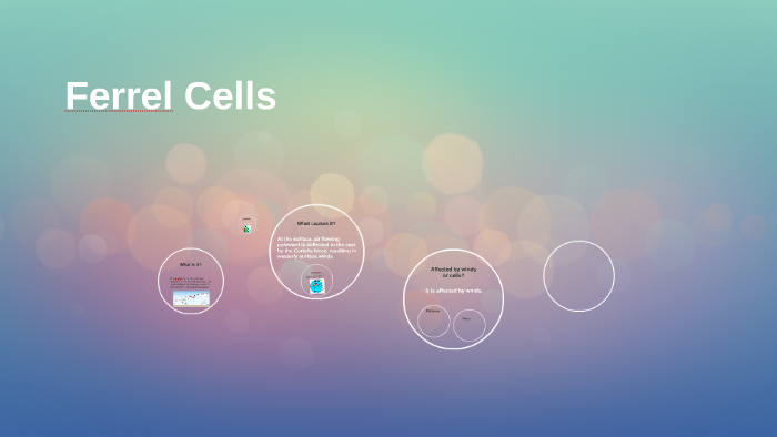 Ferrel Cells by Mckenzie Laws on Prezi