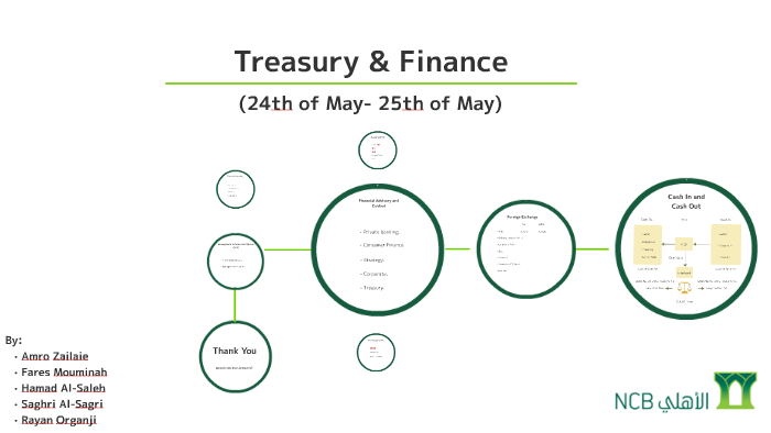 Treasury And Finance By Fares Mouminah