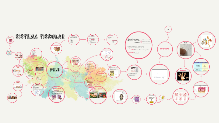 sistema tissular by Talita Lima on Prezi
